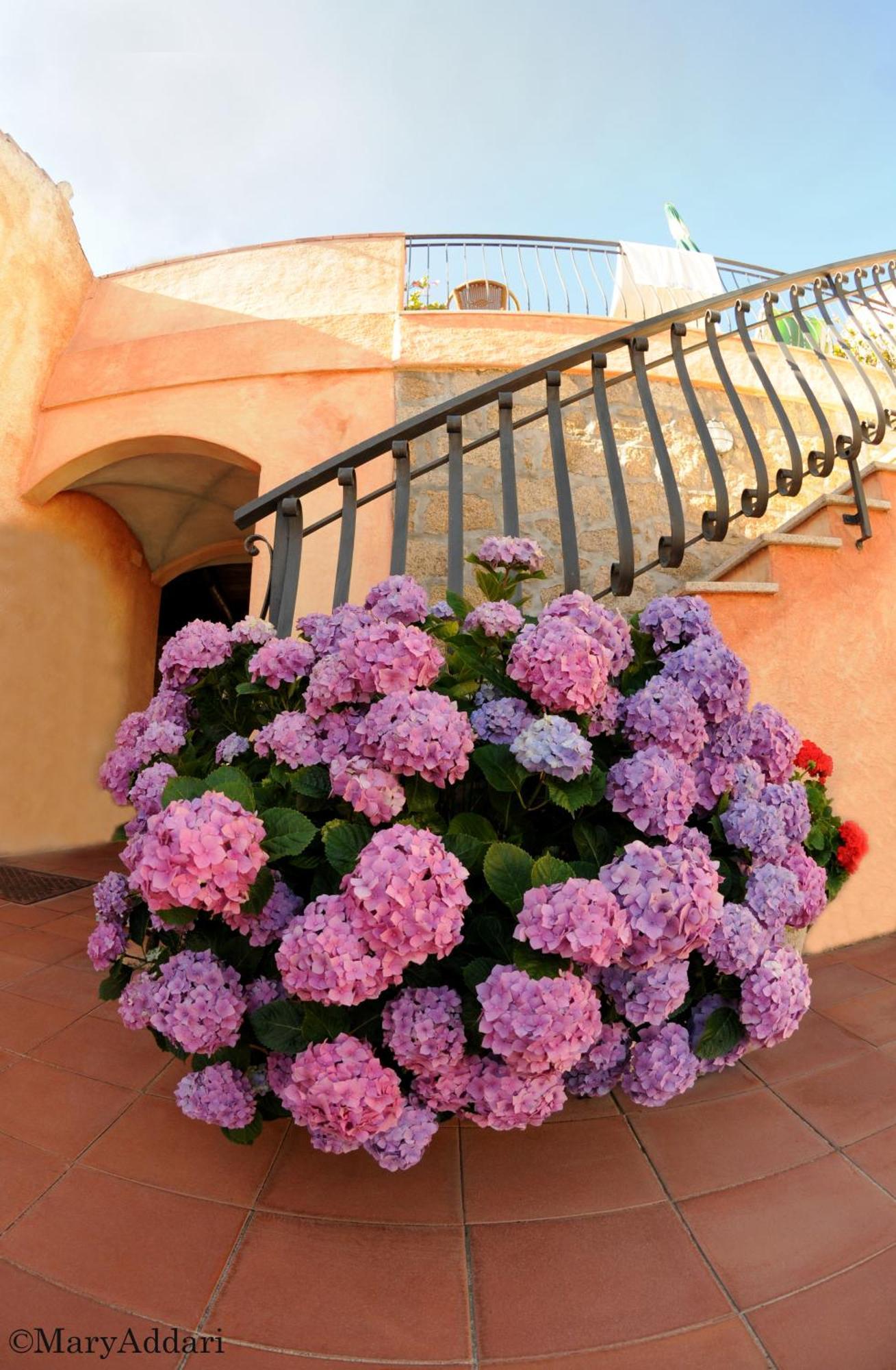 Hotel Villa Gemella Baja Sardinia Exterior foto